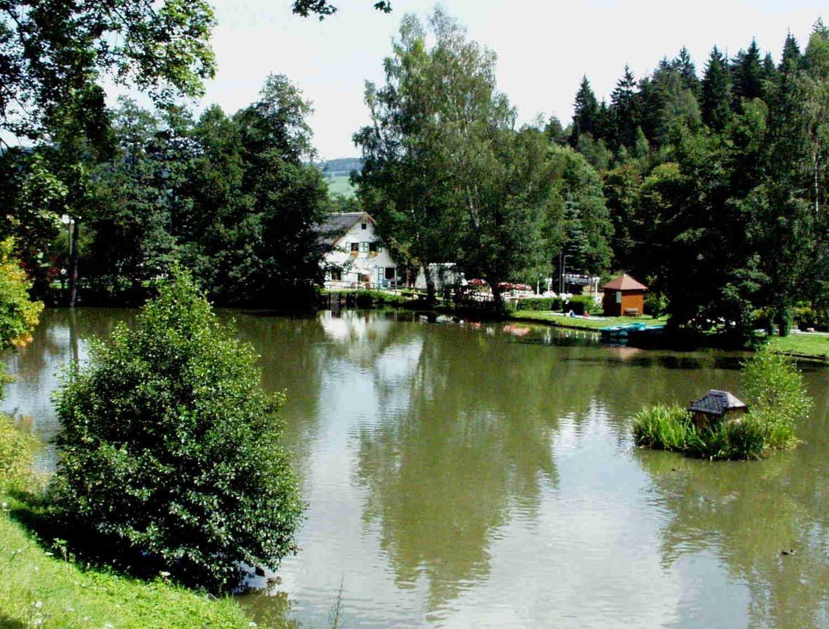 Hotel Gasthof Zum Walfisch Klingenthal Eksteriør bilde