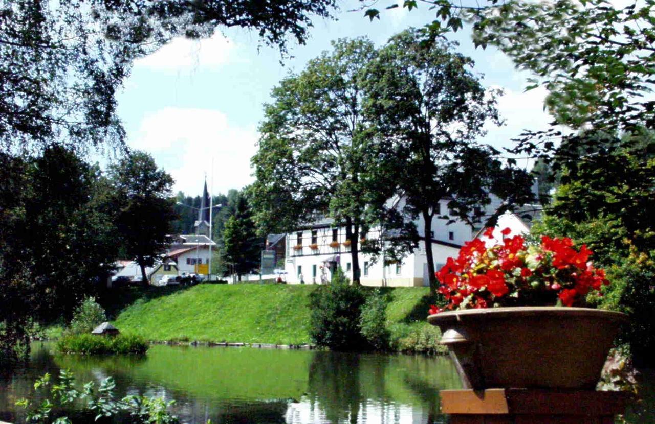 Hotel Gasthof Zum Walfisch Klingenthal Eksteriør bilde