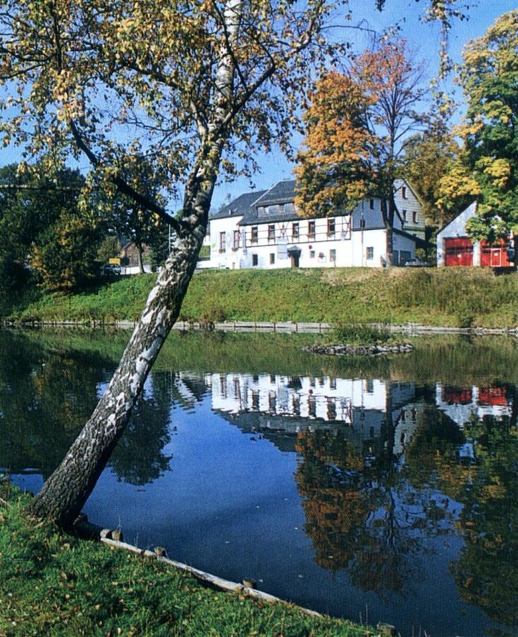 Hotel Gasthof Zum Walfisch Klingenthal Eksteriør bilde