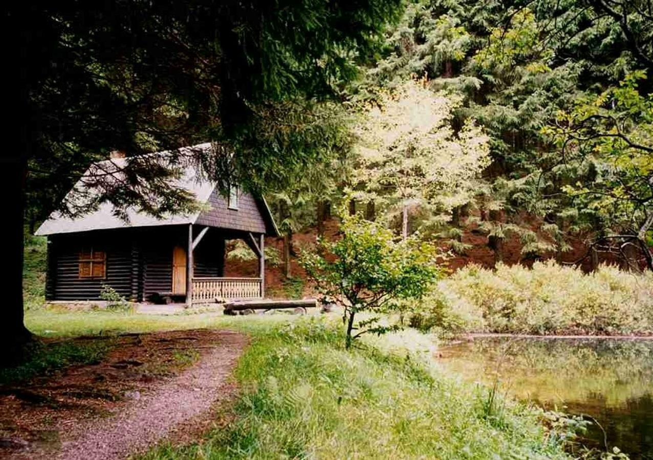 Hotel Gasthof Zum Walfisch Klingenthal Eksteriør bilde
